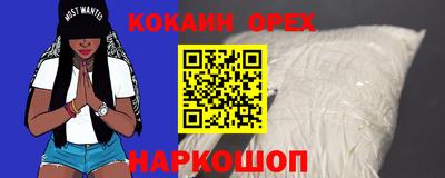 прущие грибы Камышлов