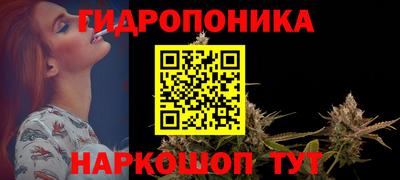 apvp Канаш