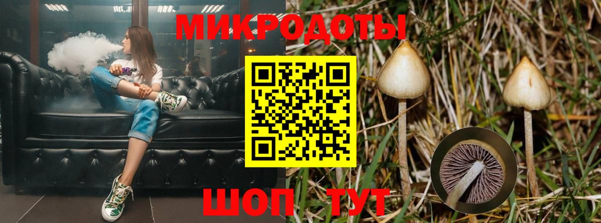 Галлюциногенные грибы ЛСД Кулебаки